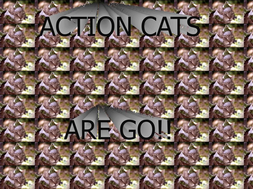 actioncats