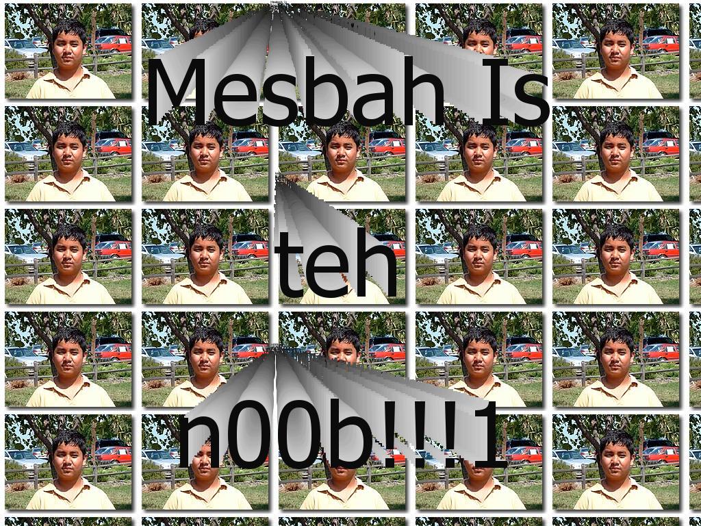 mesbahn00b