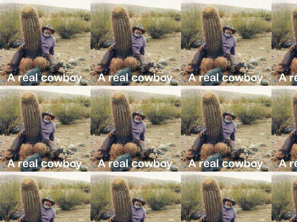 realcowboy