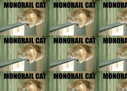 monorail cat on his way