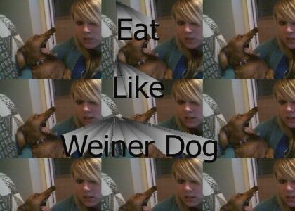 Eat Like Snake - Wiener Dog Remix