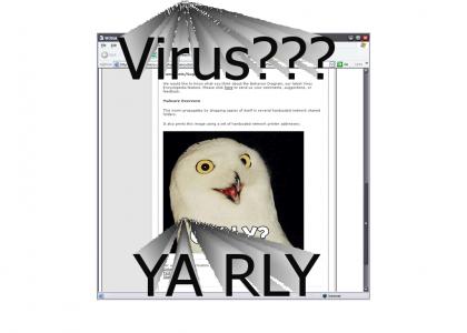 O RLY Virus?