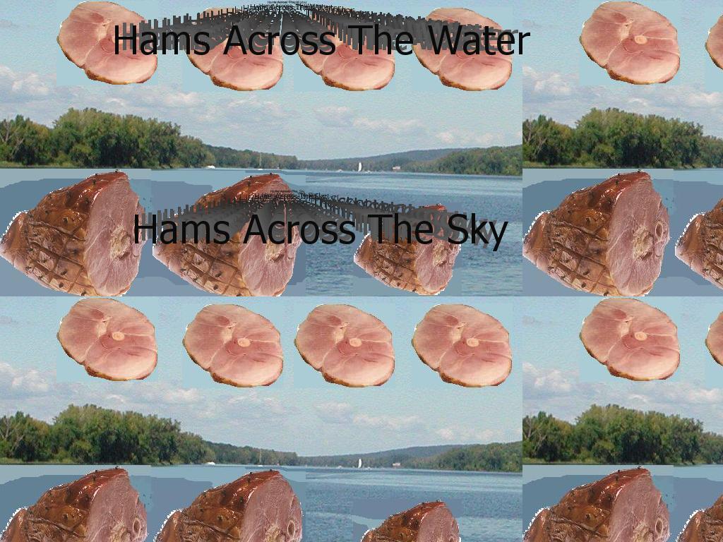 hamsacrosstheh2o