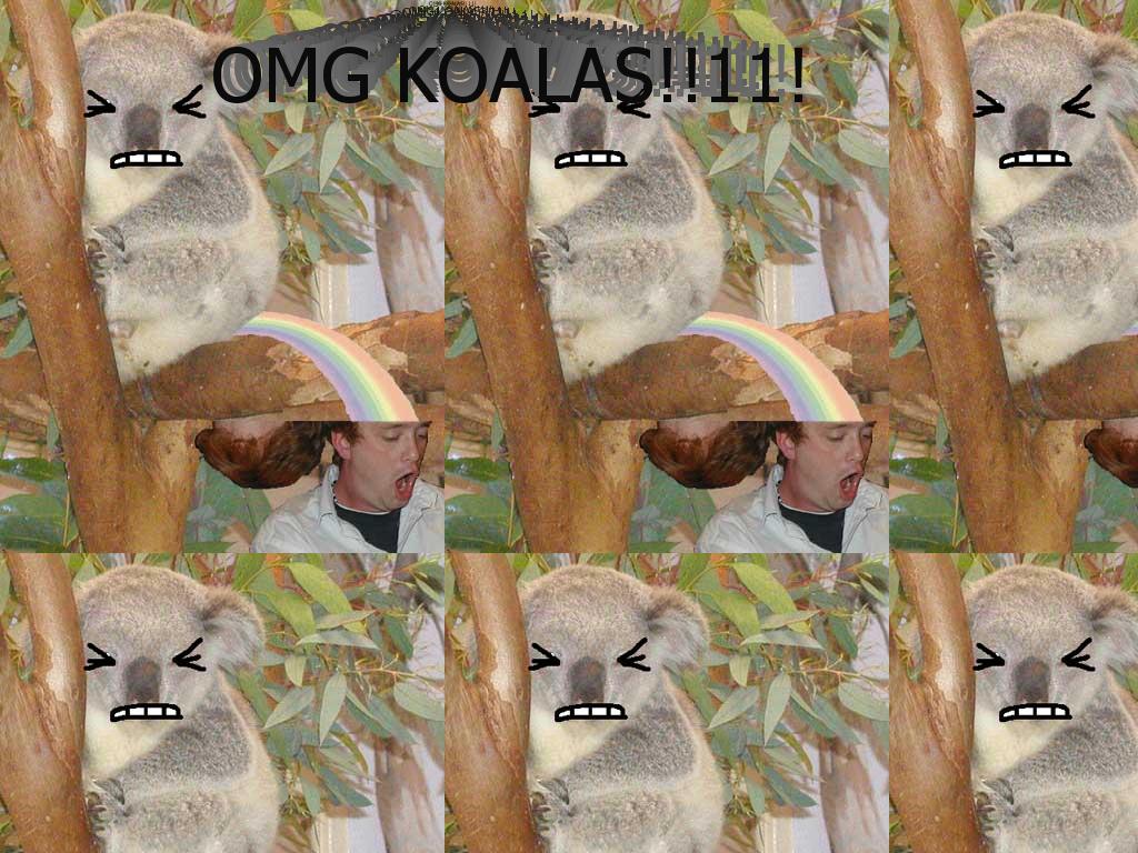koalacrap