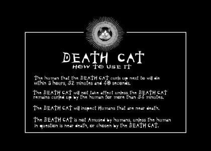 Death Cat - How to use it