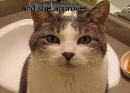 Bathroom Cat knows what you've been doing...