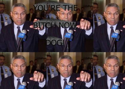 You're the bitch now, dog! (v.1 Colin powell)