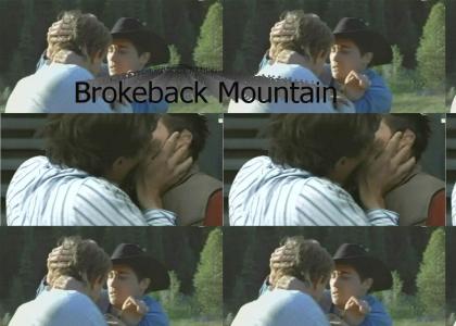 Willie wants to see Brokeback Mountain!