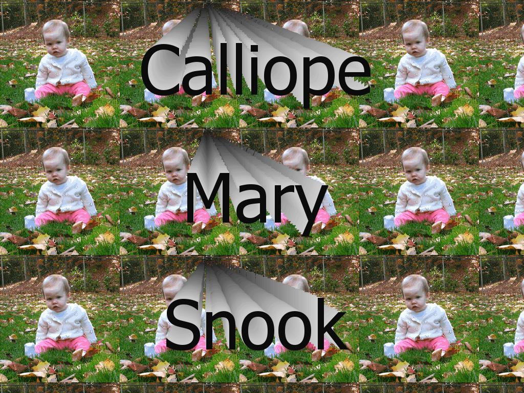 calliopesnook