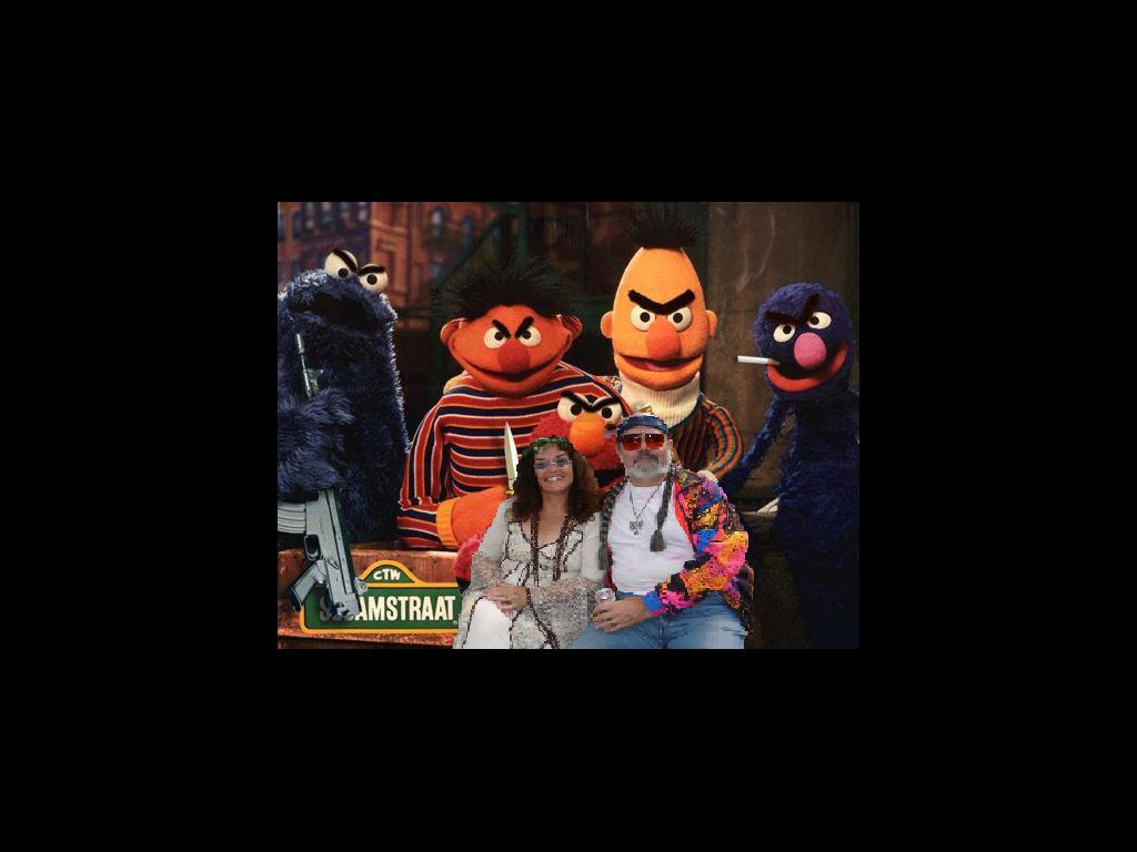 sesamestreetnobigbirdhatehippies