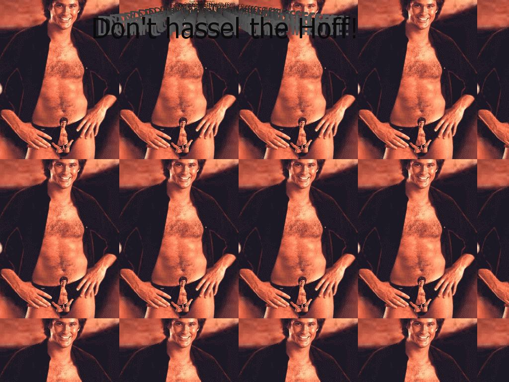 hasselhoff3d