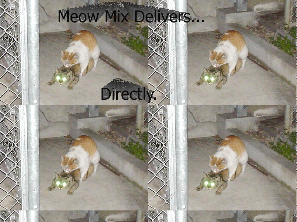 catdelivery