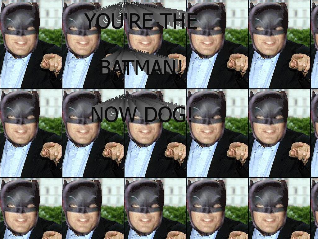 yourethebatmannowdog