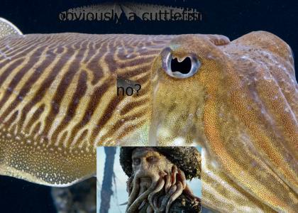 i knew davy jones was a cuttlefish