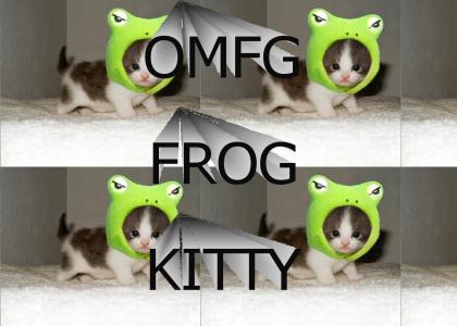 Frog Kitty