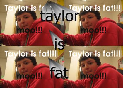 taylor is fat