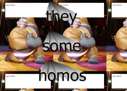 Homos