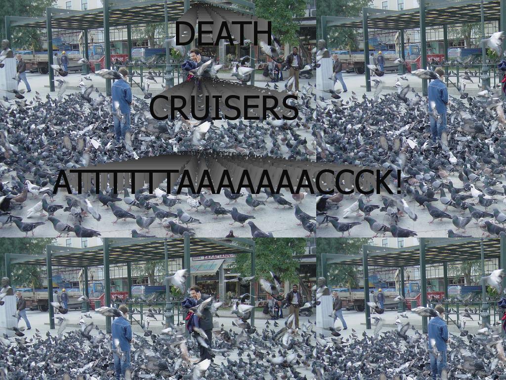 Pigeonsattack