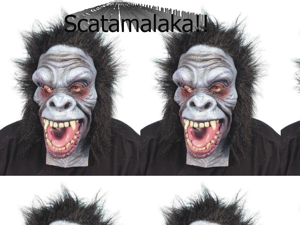 scatamalaka