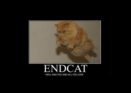 END CAT WILL END ALL YOU LOVE