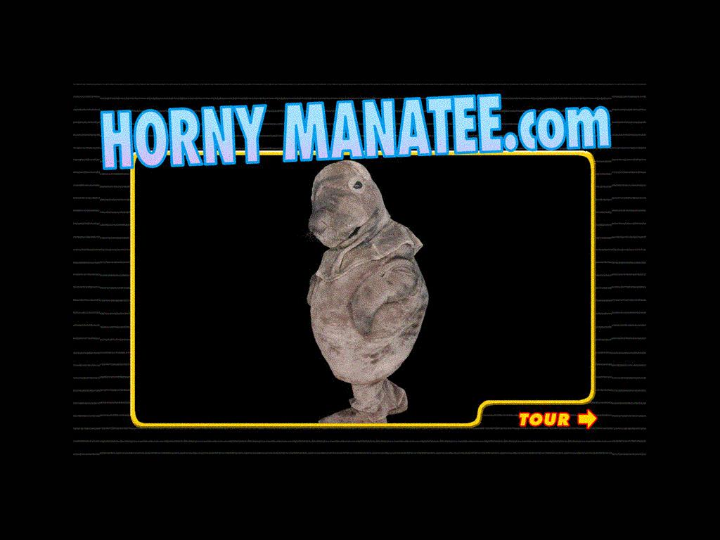 manateexl