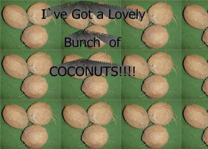 Lovely Bunch of coconuts