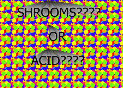 SHROOMS or ACID? you decide