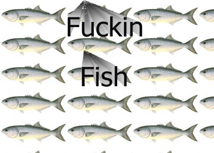 I'M A FUCKING FISH