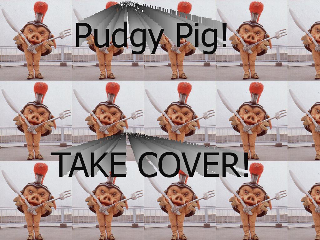 pudgypig