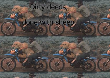 Dirty Deeds Done With Sheep