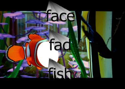 Face Fad Fish