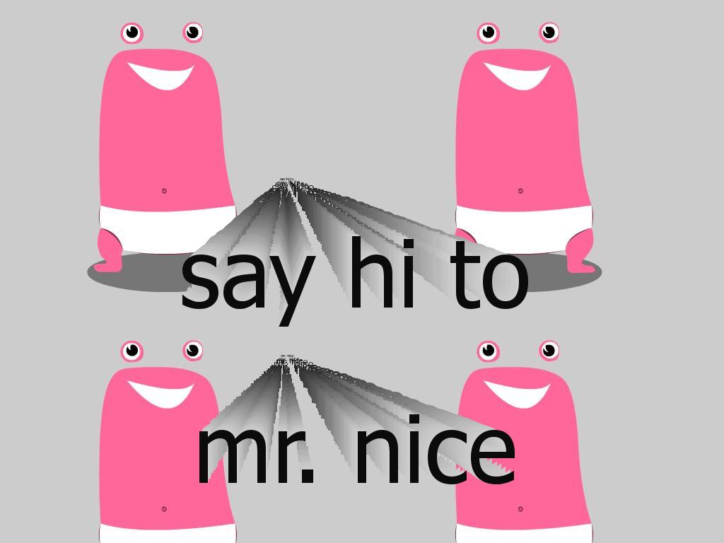 mrnice