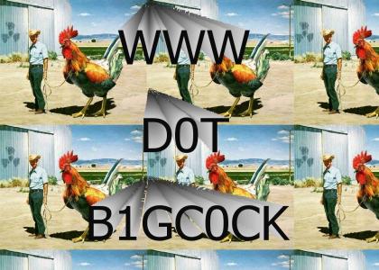 WWW dot B1G??