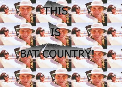 This is bat country!