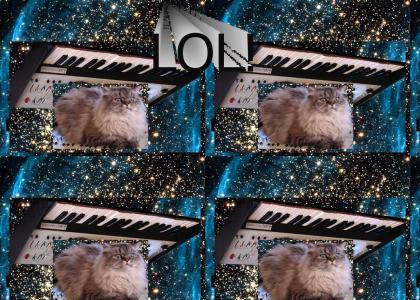 YTDNM: Keyboardonacatinspace