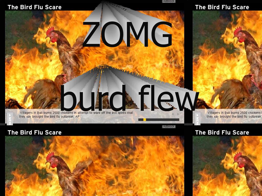 burdflew