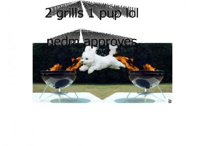2 grills 1 pup