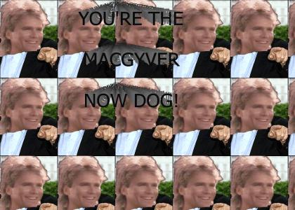 you're the macgyver now dog!