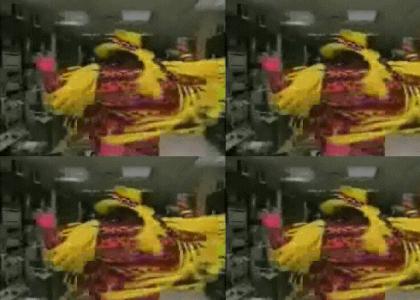 Macho Man Randy Savage is Excited