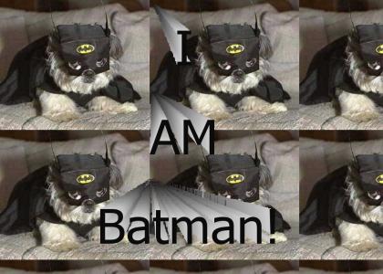 Hey, you're not Batman!