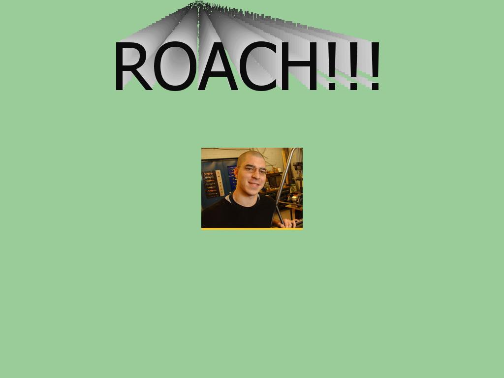roach