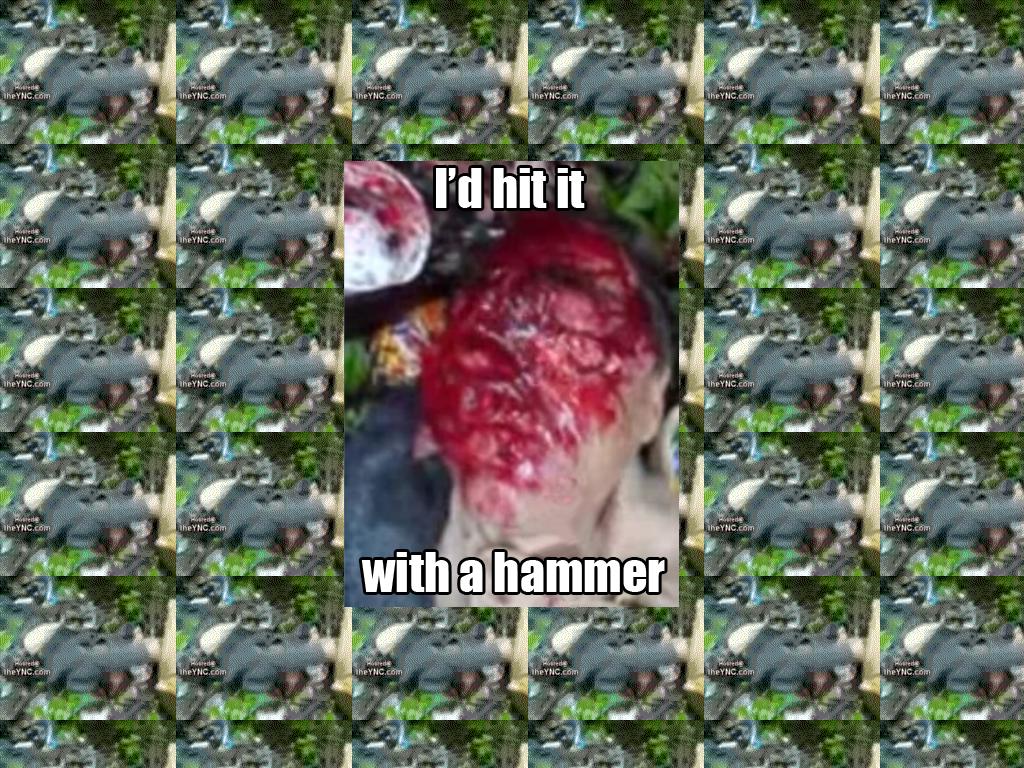 hammersmashedfacelol