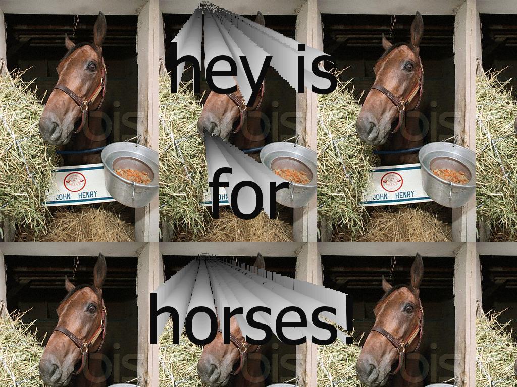 hayisforhorses