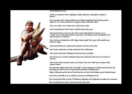 Steve Irwin: A man's man.