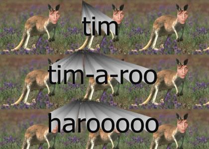 Tim tim-a-roo