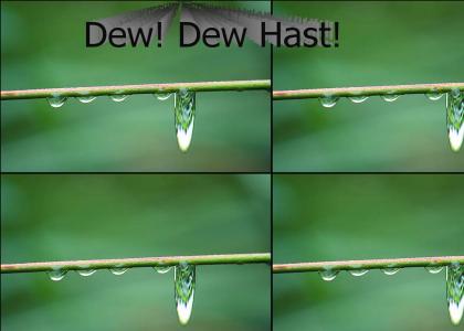 Dew