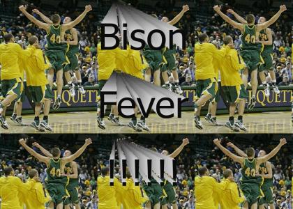 Bison Fever