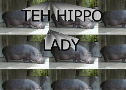 Have you seen my hippo?