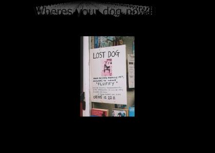 WHERES YOUR DOG NOW?!