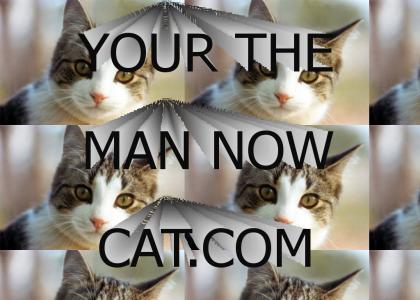 You're the man now cat!